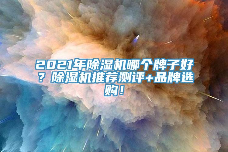 2021年除濕機(jī)哪個(gè)牌子好？除濕機(jī)推薦測評+品牌選購！