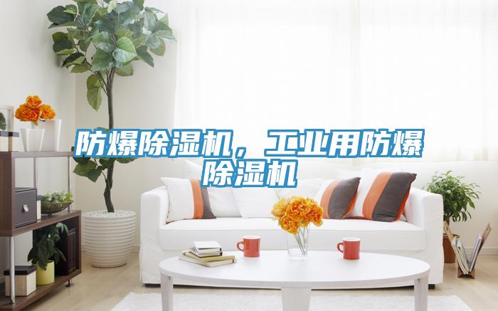 防爆除濕機，工業(yè)用防爆除濕機