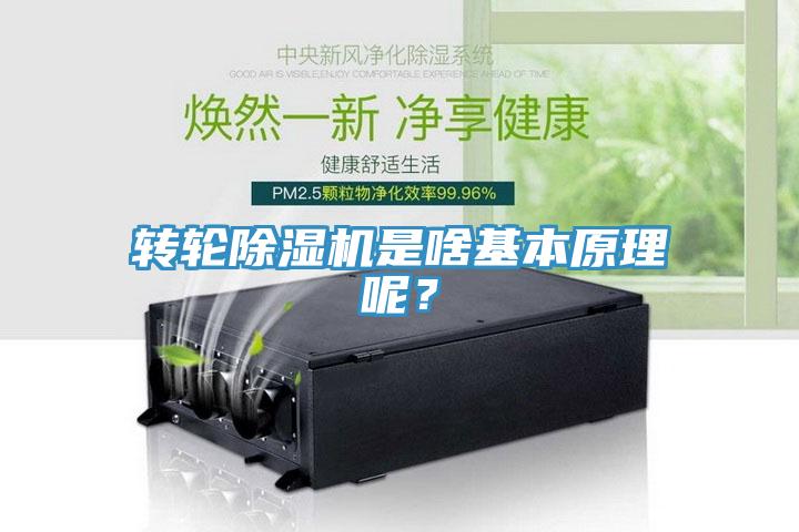 轉輪除濕機是啥基本原理呢？