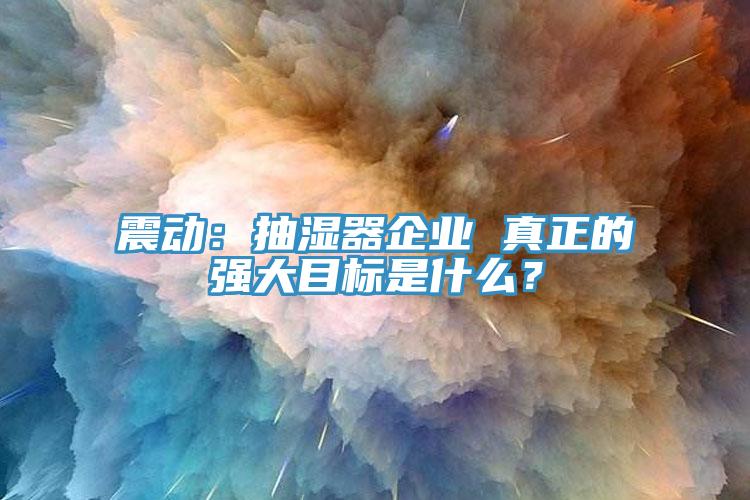震動：抽濕器企業(yè) 真正的強大目標是什么？