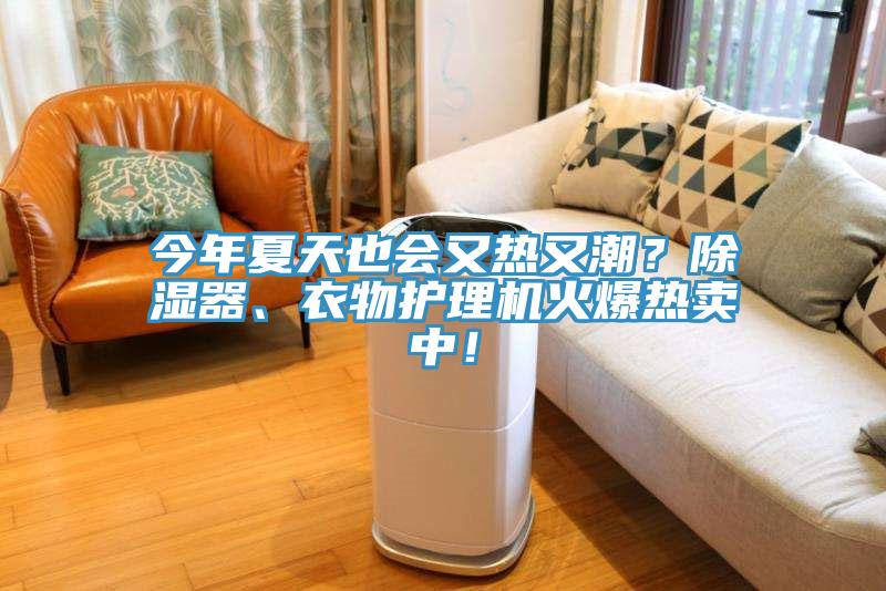 今年夏天也會又熱又潮？除濕器、衣物護理機火爆熱賣中！