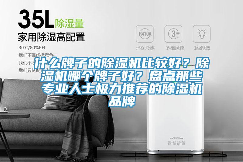 什么牌子的除濕機比較好？除濕機哪個牌子好？盤點那些專業(yè)人士極力推薦的除濕機品牌