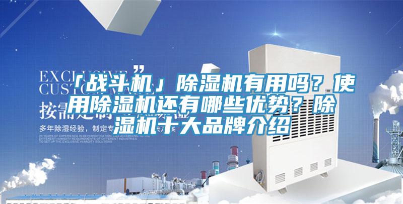 「戰(zhàn)斗機(jī)」除濕機(jī)有用嗎？使用除濕機(jī)還有哪些優(yōu)勢？除濕機(jī)十大品牌介紹