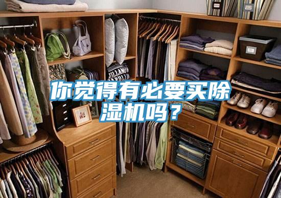 你覺(jué)得有必要買除濕機(jī)嗎？