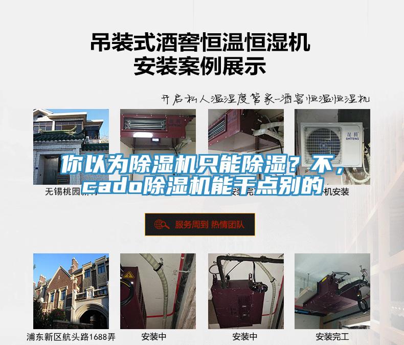 你以為除濕機(jī)只能除濕？不，cado除濕機(jī)能干點(diǎn)別的