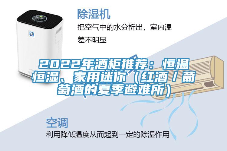 2022年酒柜推薦：恒溫恒濕、家用迷你（紅酒／葡萄酒的夏季避難所）