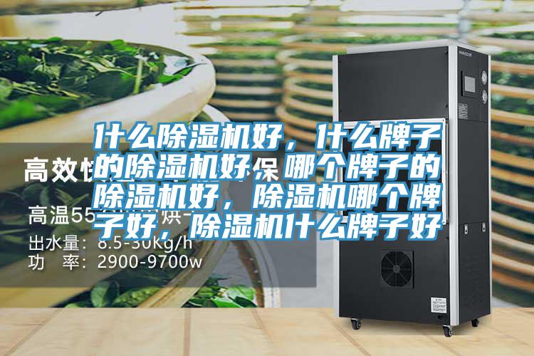 什么除濕機好，什么牌子的除濕機好，哪個牌子的除濕機好，除濕機哪個牌子好，除濕機什么牌子好