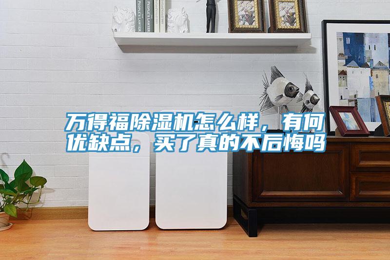 萬得福除濕機怎么樣，有何優(yōu)缺點，買了真的不后悔嗎