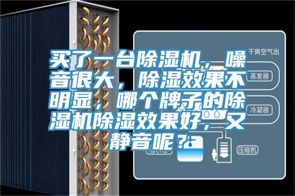 買了一臺除濕機，噪音很大，除濕效果不明顯，哪個牌子的除濕機除濕效果好，又靜音呢？