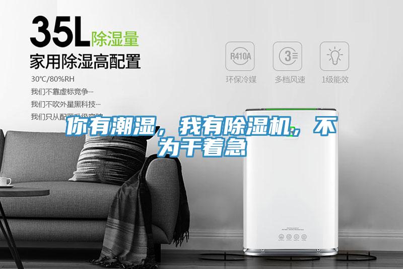 你有潮濕，我有除濕機(jī)，不為干著急