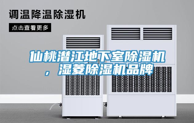 仙桃潛江地下室除濕機(jī)，濕菱除濕機(jī)品牌