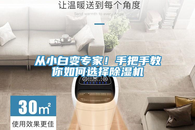 從小白變專家！手把手教你如何選擇除濕機