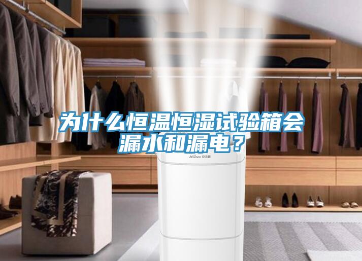 為什么恒溫恒濕試驗(yàn)箱會(huì)漏水和漏電？