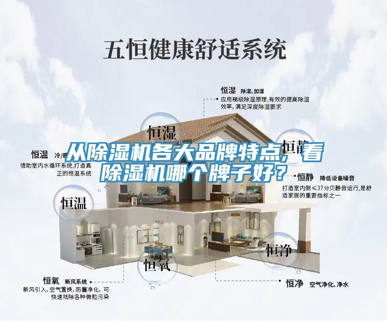 從除濕機各大品牌特點, 看除濕機哪個牌子好？