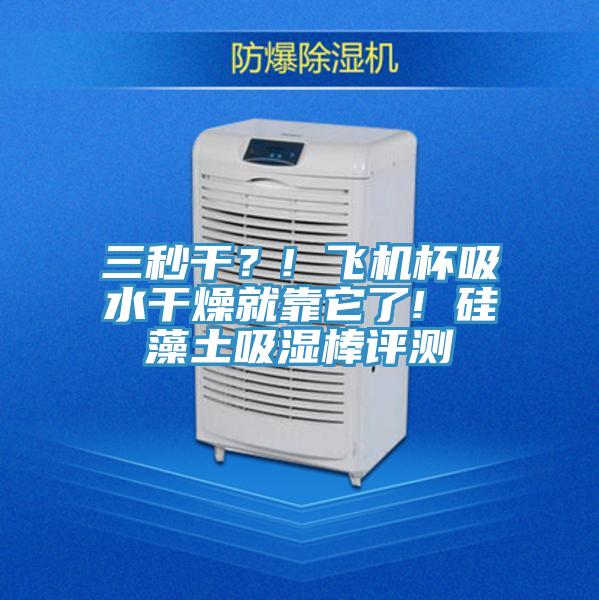 三秒干？! 飛機杯吸水干燥就靠它了! 硅藻土吸濕棒評測