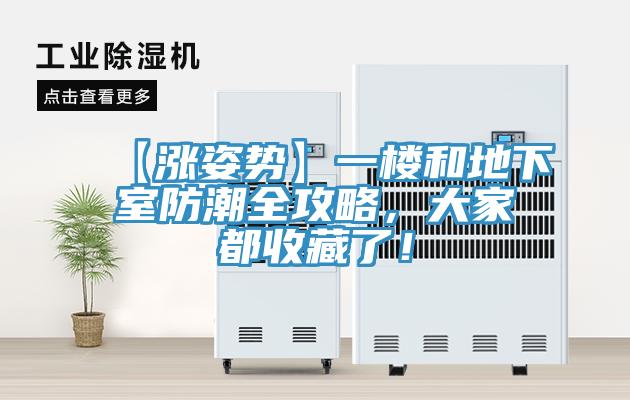 【漲姿勢】一樓和地下室防潮全攻略，大家都收藏了！