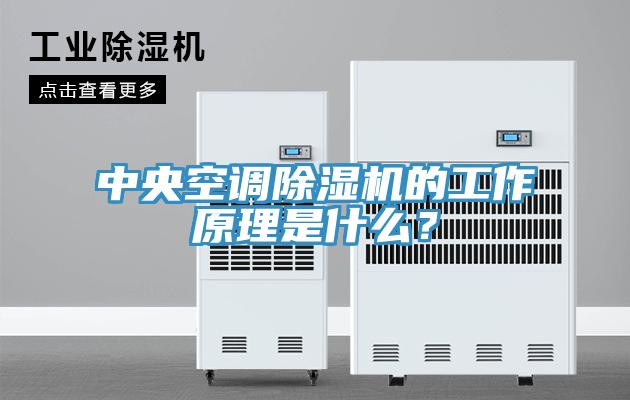 中央空調(diào)除濕機(jī)的工作原理是什么？