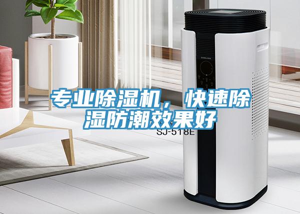 專業(yè)除濕機(jī)，快速除濕防潮效果好