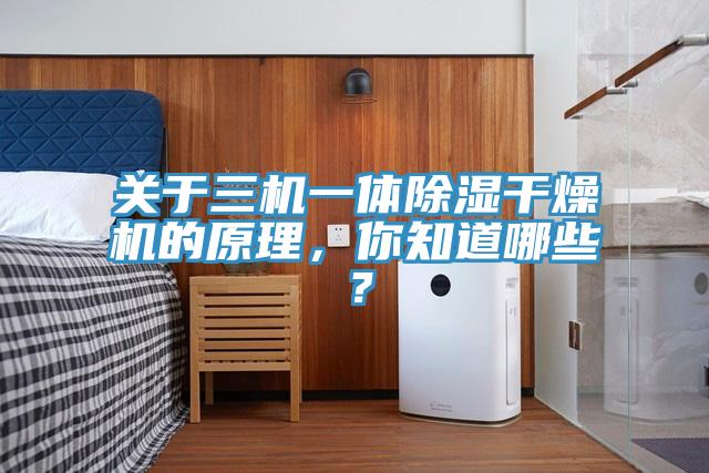關(guān)于三機一體除濕干燥機的原理，你知道哪些？
