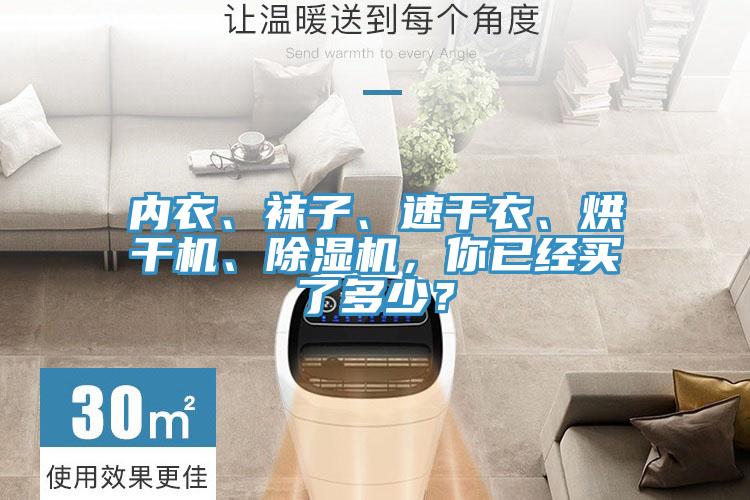 內(nèi)衣、襪子、速干衣、烘干機、除濕機，你已經(jīng)買了多少？