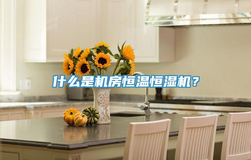 什么是機房恒溫恒濕機？