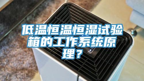 低溫恒溫恒濕試驗(yàn)箱的工作系統(tǒng)原理？