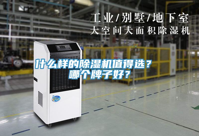 什么樣的除濕機值得選？ 哪個牌子好？