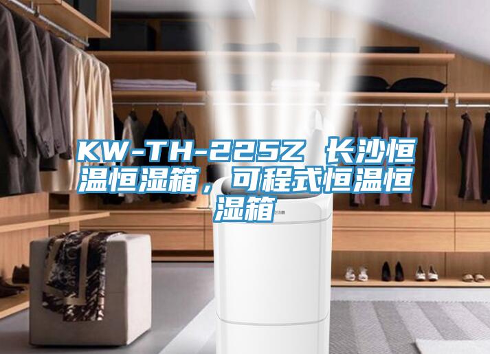 KW-TH-225Z 長(zhǎng)沙恒溫恒濕箱，可程式恒溫恒濕箱