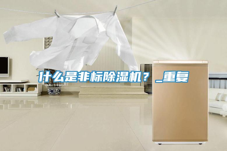 什么是非標(biāo)除濕機？_重復(fù)
