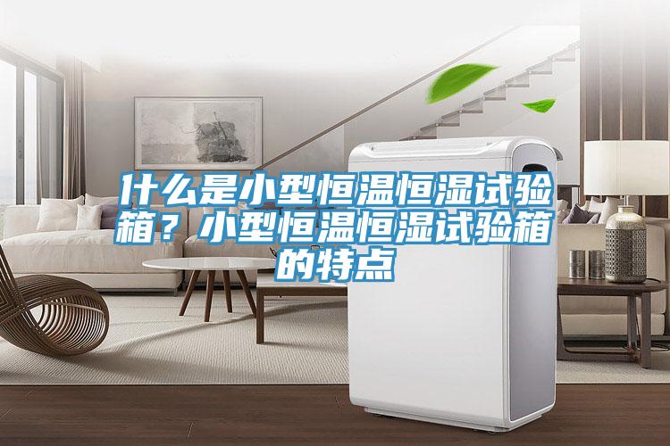 什么是小型恒溫恒濕試驗(yàn)箱？小型恒溫恒濕試驗(yàn)箱的特點(diǎn)