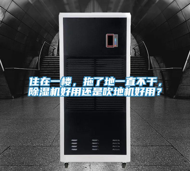 住在一樓，拖了地一直不干，除濕機(jī)好用還是吹地機(jī)好用？