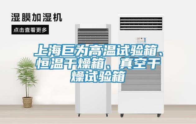 上海巨為高溫試驗(yàn)箱、恒溫干燥箱、真空干燥試驗(yàn)箱