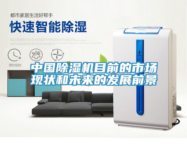 中國除濕機(jī)目前的市場(chǎng)現(xiàn)狀和未來的發(fā)展前景