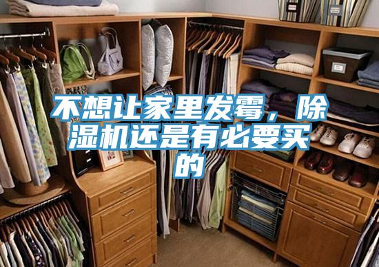 不想讓家里發(fā)霉，除濕機(jī)還是有必要買的