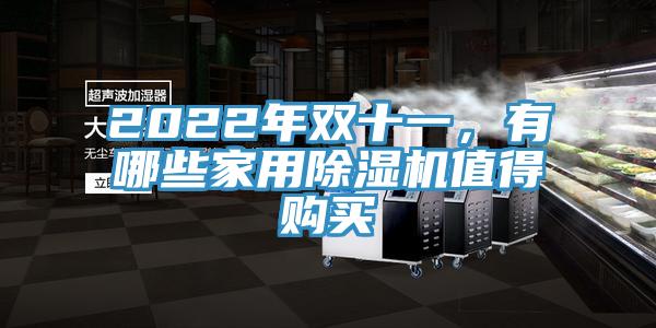 2022年雙十一，有哪些家用除濕機值得購買