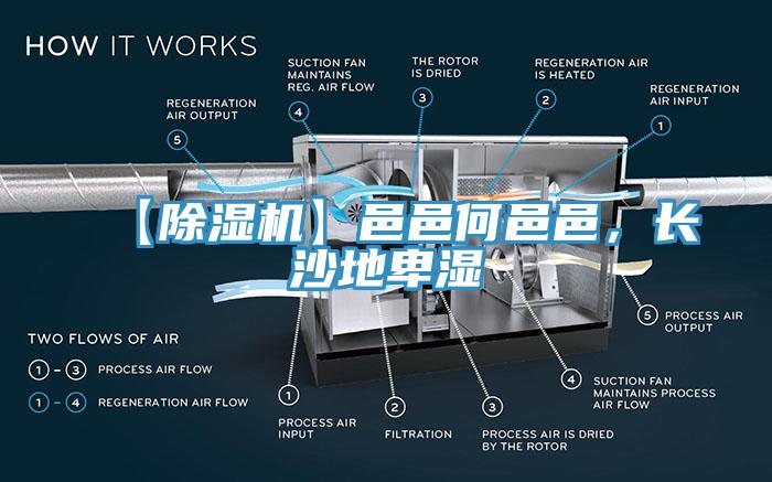 【除濕機(jī)】邑邑何邑邑，長(zhǎng)沙地卑濕