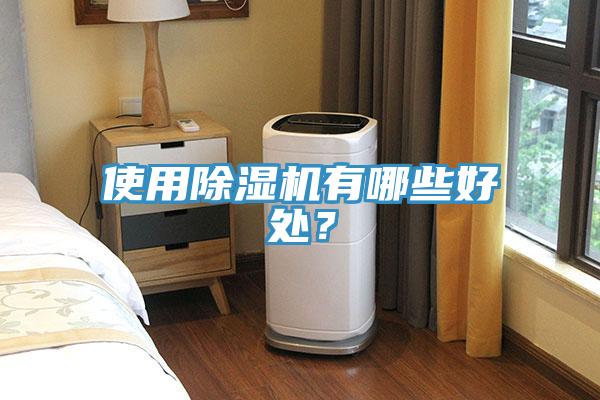使用除濕機有哪些好處？