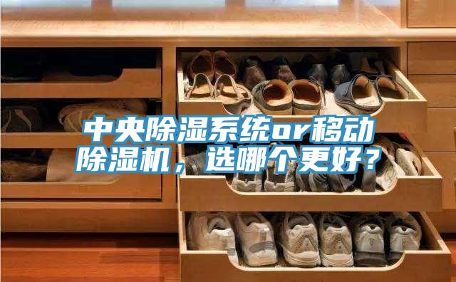 中央除濕系統(tǒng)or移動除濕機，選哪個更好？