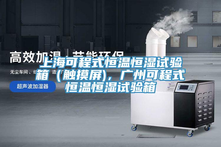 上?？沙淌胶銣睾銤裨囼?yàn)箱（觸摸屏)，廣州可程式恒溫恒濕試驗(yàn)箱