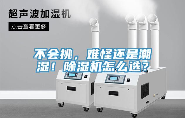 不會挑，難怪還是潮濕！除濕機怎么選？
