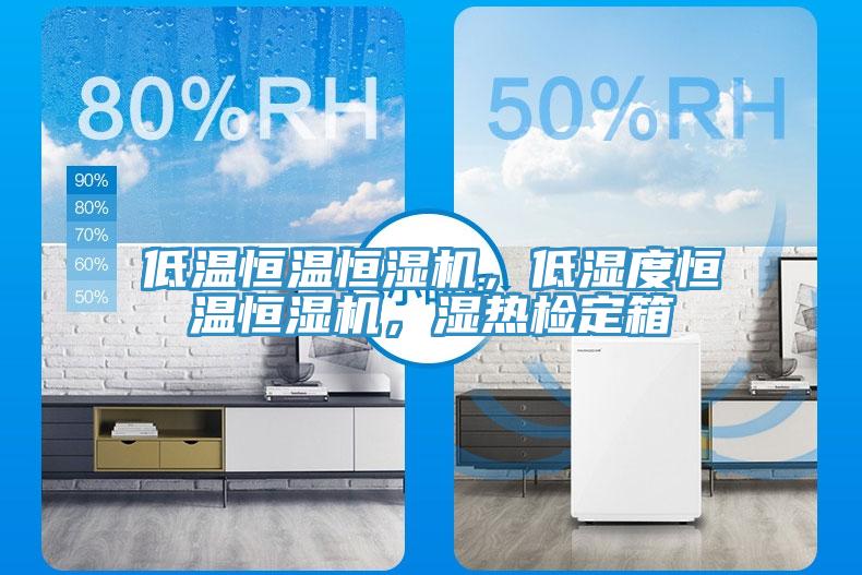 低溫恒溫恒濕機，低濕度恒溫恒濕機，濕熱檢定箱