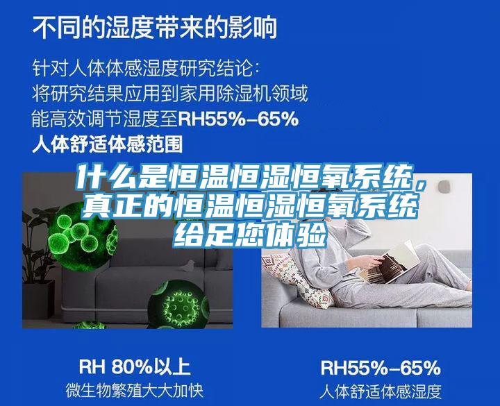 什么是恒溫恒濕恒氧系統(tǒng)，真正的恒溫恒濕恒氧系統(tǒng)給足您體驗(yàn)