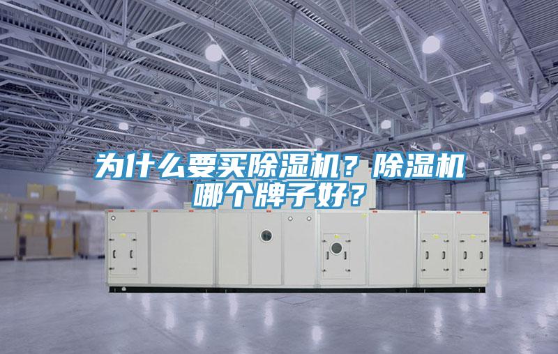 為什么要買除濕機？除濕機哪個牌子好？