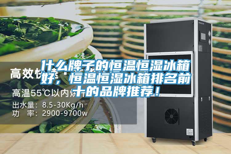 什么牌子的恒溫恒濕冰箱好，恒溫恒濕冰箱排名前十的品牌推薦！