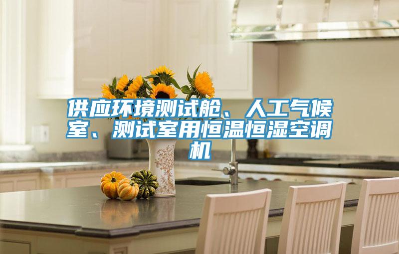 供應(yīng)環(huán)境測(cè)試艙、人工氣候室、測(cè)試室用恒溫恒濕空調(diào)機(jī)
