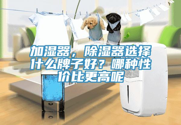 加濕器，除濕器選擇什么牌子好？哪種性價比更高呢