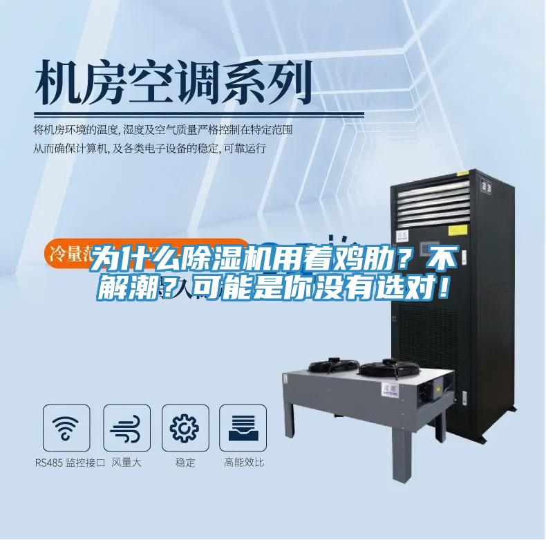 為什么除濕機(jī)用著雞肋？不解潮？可能是你沒(méi)有選對(duì)！