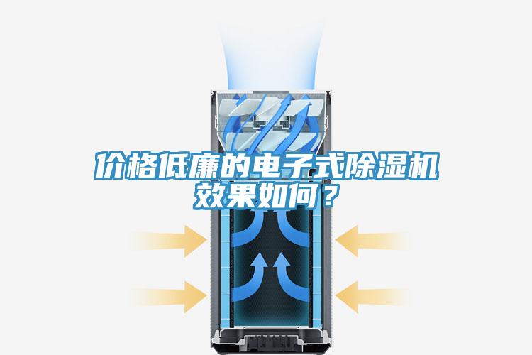 價(jià)格低廉的電子式除濕機(jī)效果如何？