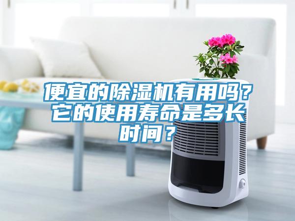 便宜的除濕機(jī)有用嗎？它的使用壽命是多長(zhǎng)時(shí)間？