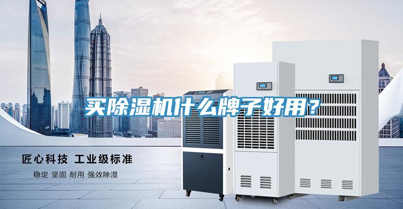 買除濕機(jī)什么牌子好用？